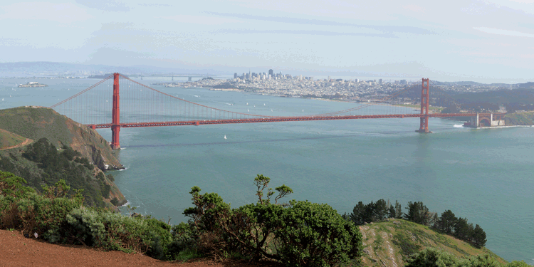 Panoramic