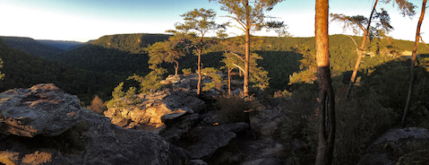 A variety of panoramic photos.