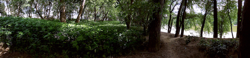 A variety of panoramic photos.
