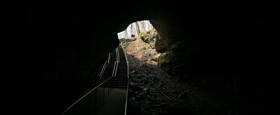 A variety of panoramic photos.