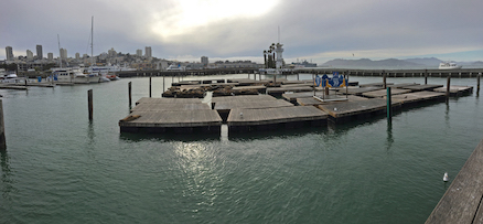 A variety of panoramic photos.