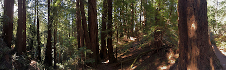 A variety of panoramic photos.